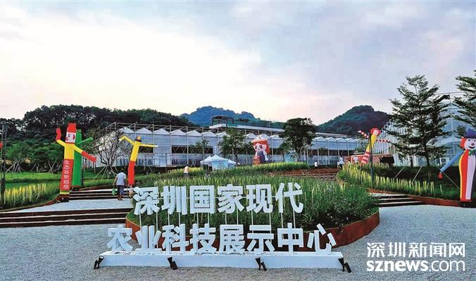 迳口社区建设都市“田园社区” 勾勒幸福民生画卷