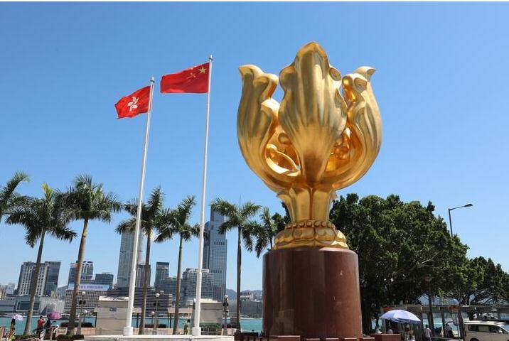 八个关键词，看懂香港特区选委会选举