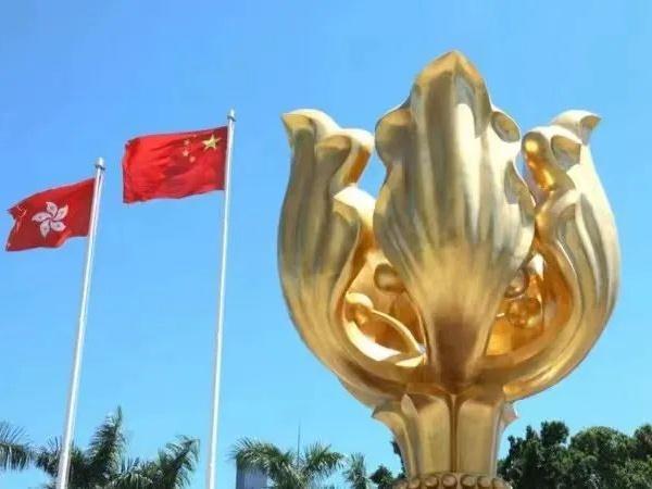 热评｜香港选委会选举顺畅有力 绽放由治及兴新活力