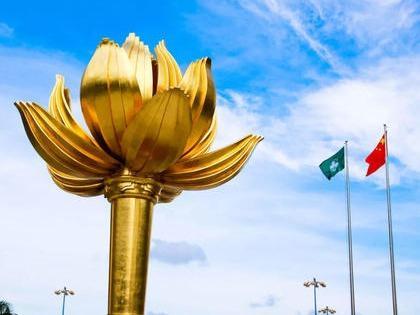 澳门公布7名委任议员名单，第七届立法会议员全部产生