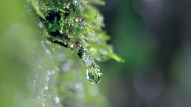 2025相约粤港澳！大湾区全运会宣传片来了