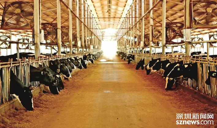 给传统农业插上文化和旅游“双翼”