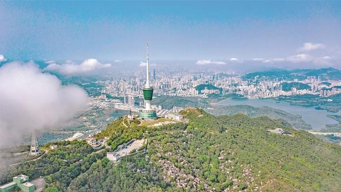 深圳全市森林覆盖率近40%，公园总数1206个
