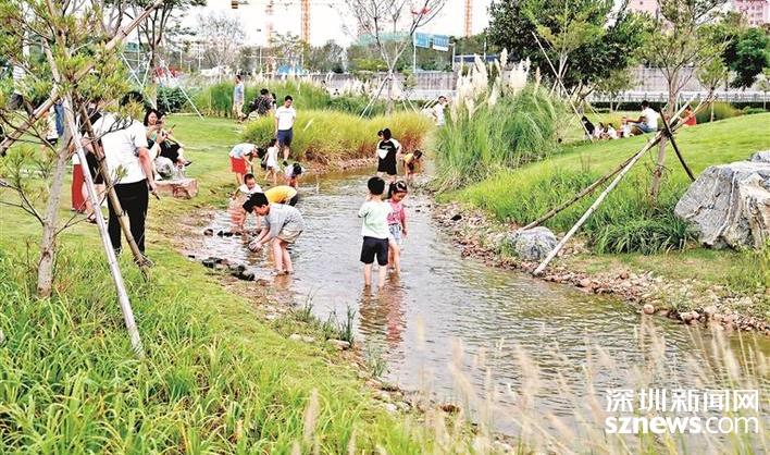 健身观剧逛展赏花海 市民解锁花样玩法