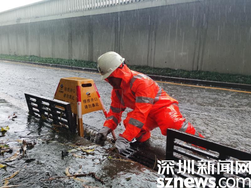 18号台风“圆规”将于12日影响深圳 重点防御大风