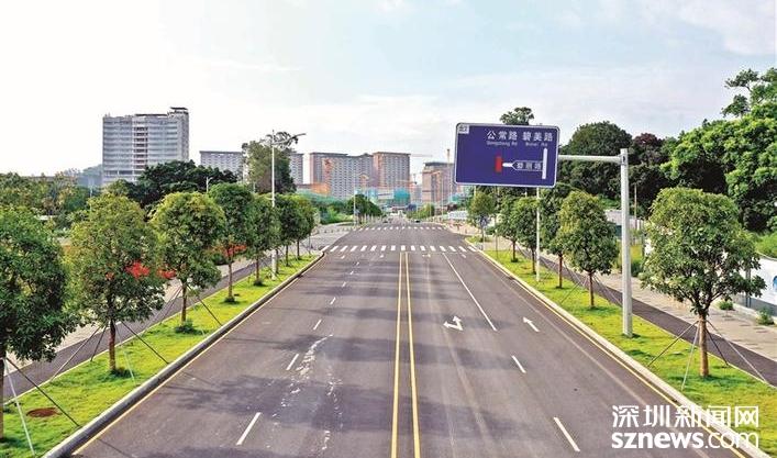 圳美：你蝶变后的样子真美