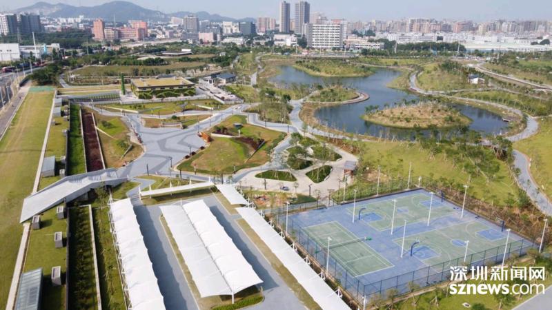 东坑社区坚持党建引领 打造美丽幸福社区