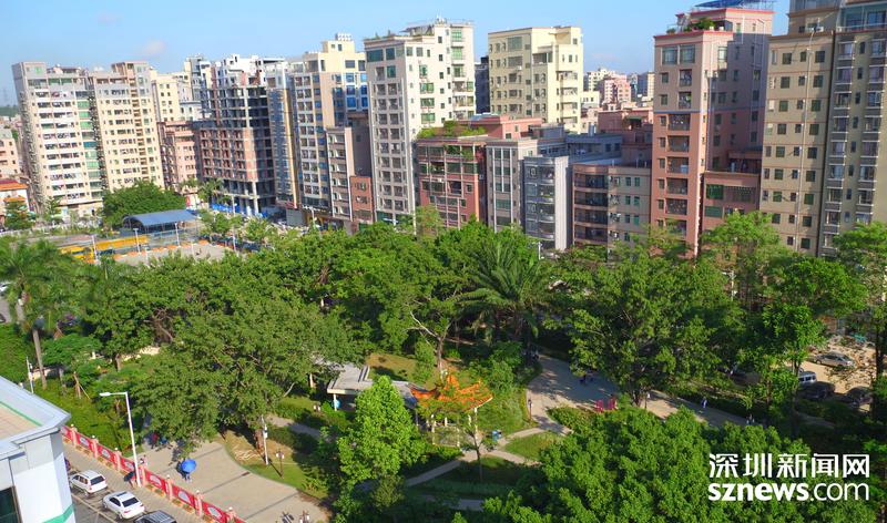 塘尾社区多方面发力建设生态宜居乐业家园