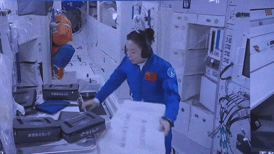444[1].gif