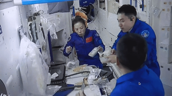 447[1].gif