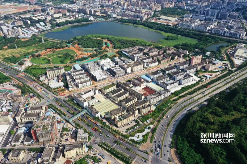 统租率达97.63%！马田街道冲刺光明国际汽车城统租清租工作