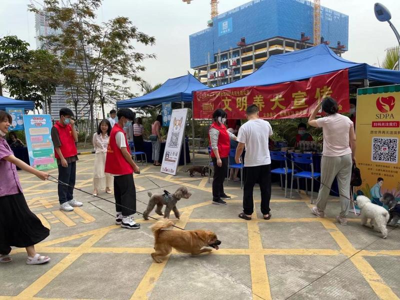 南山区桂湾社区2021年民生微实事 文明养犬宣传活动圆满完成