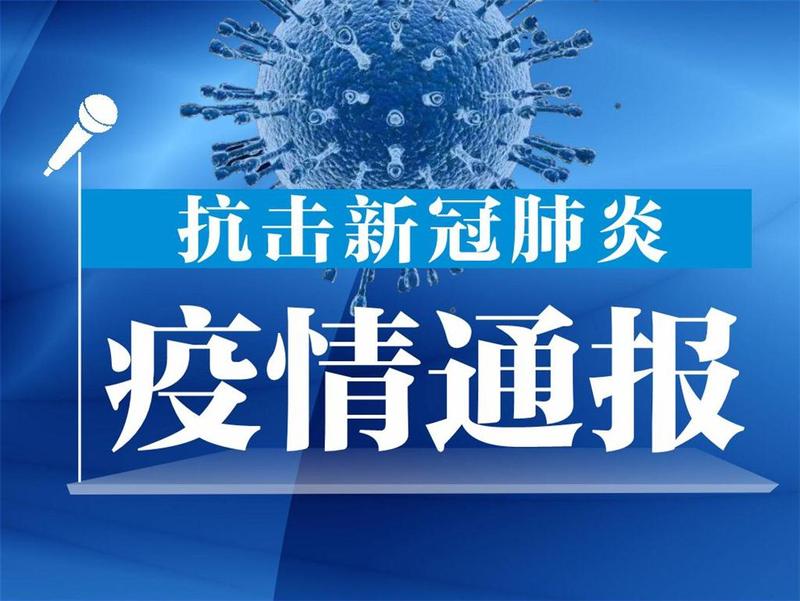 香港新增6宗输入新冠肺炎确诊个案