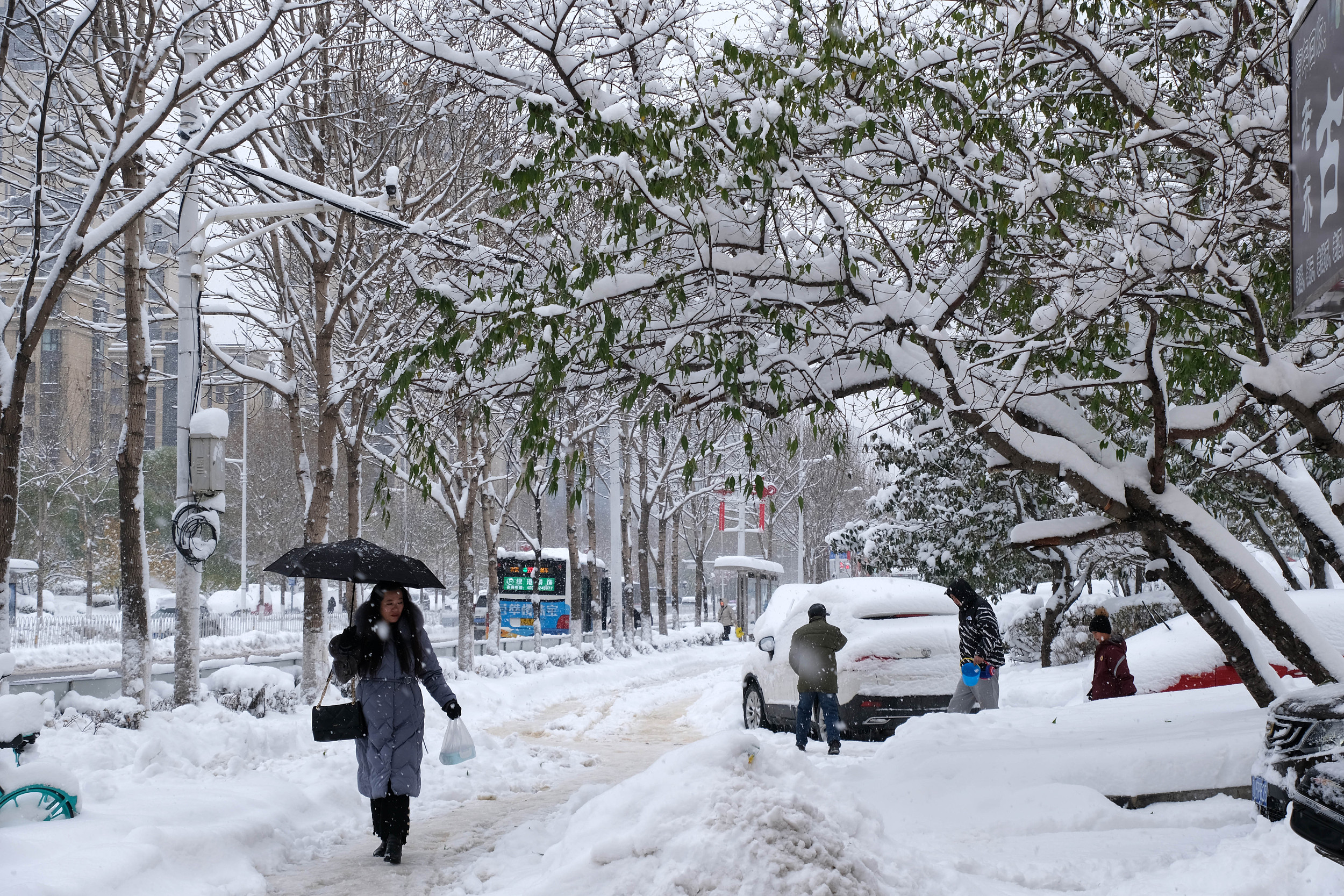 大雪封门东北内蒙古积雪破历史纪录专家解读极端强降雪成因