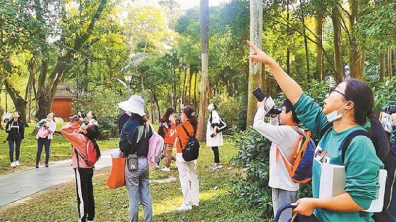 福田区第二十二届青少年观鸟竞赛昨在深圳湾公园举办 