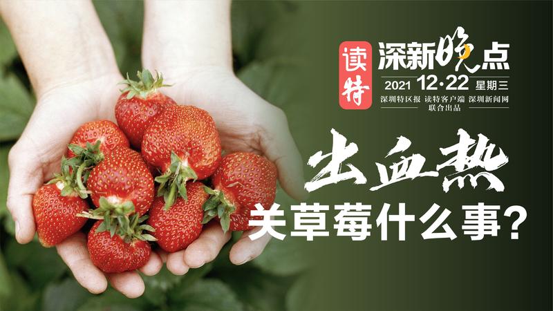 读特深新晚点｜出血热 “碰瓷”，还能好好吃草莓吗？（2021年12月22日）