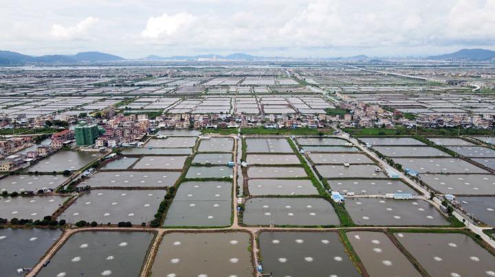 74亿建十大项目！珠海农业农村现代化“十四五”规划将出台