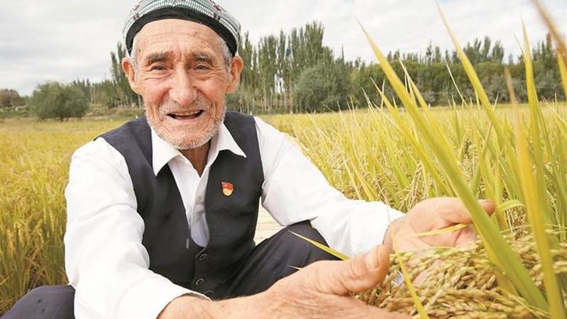 深圳援疆聚焦全面振兴 高标准打造乡村振兴示范点