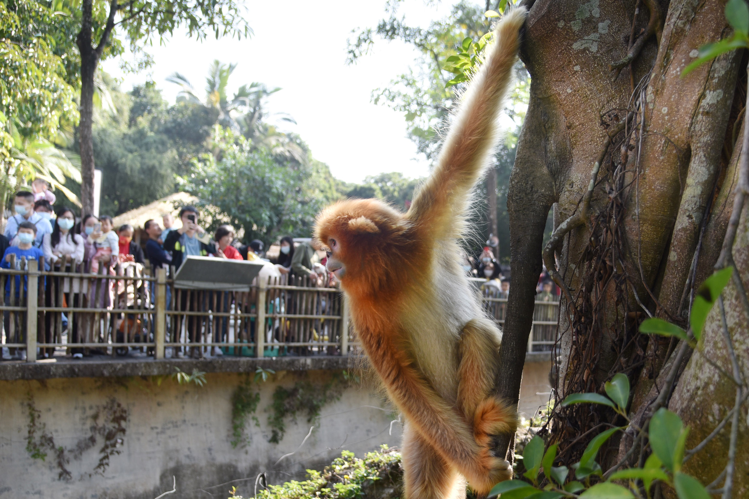 深圳野生动物园小动物萌态十足 受游客喜爱