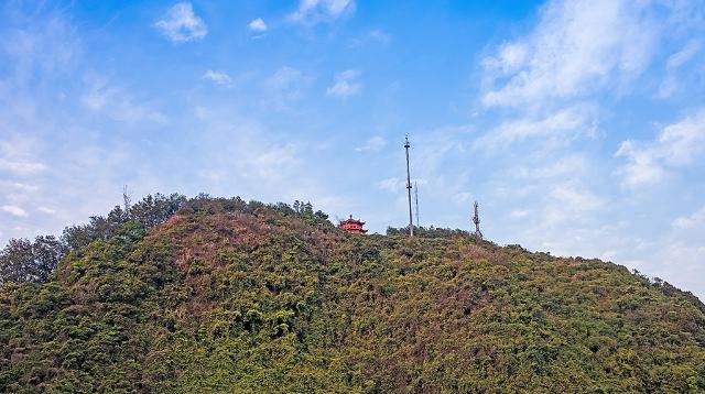 2021年深圳新建公园32座，全市公园总数达1238个