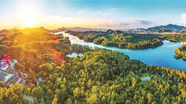 气候赋能生态宜居 再添国字号荣誉 宝安获“中国气候宜居城市”称号