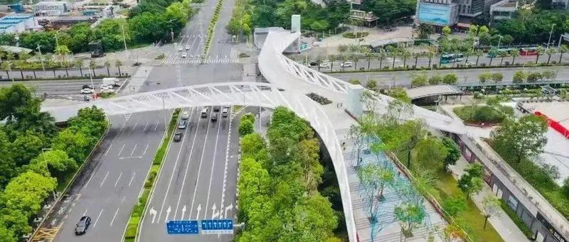 滨海廊桥春节开放！邀你“上天入地”，尽览宝安美景！