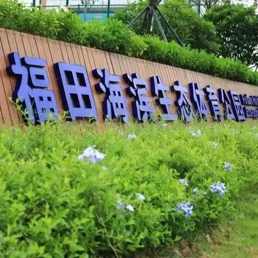 福田拍了拍你：春节假期公益场地预订即将开始！