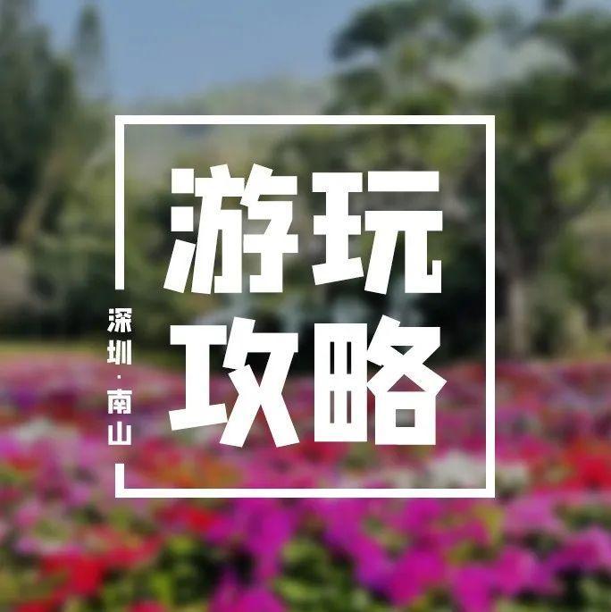 南山人家门口的过年好去处！生态美景、海上风光、国风美照......都安排上了！