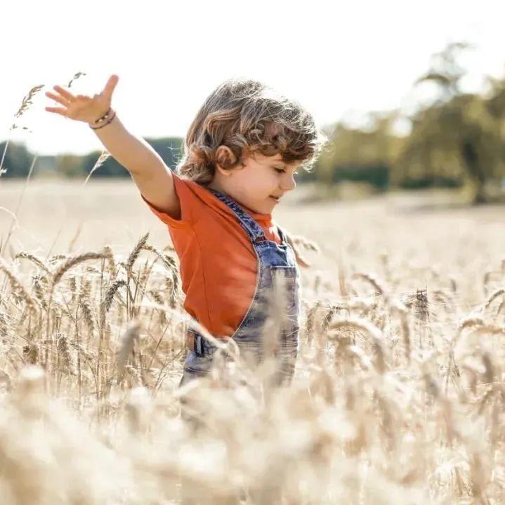 善护童心 | 孩子被欺凌怎么办？家长请收好这份儿童安全手册