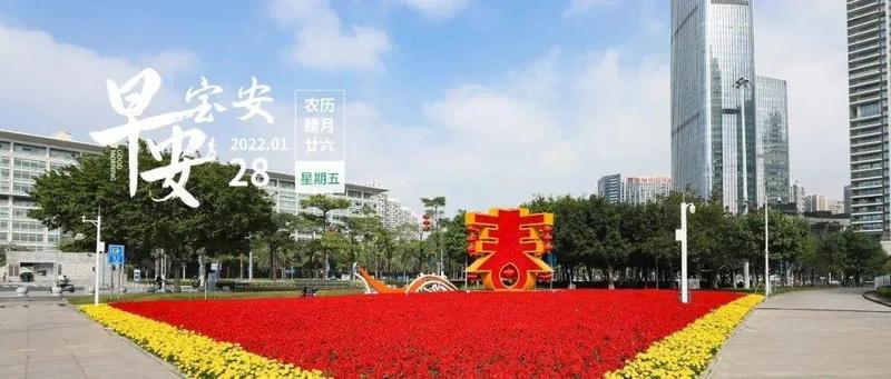 宝安这些公园、购花点不容错过！深圳5年内新建基础教育学位90.8万座  | 早安，宝安