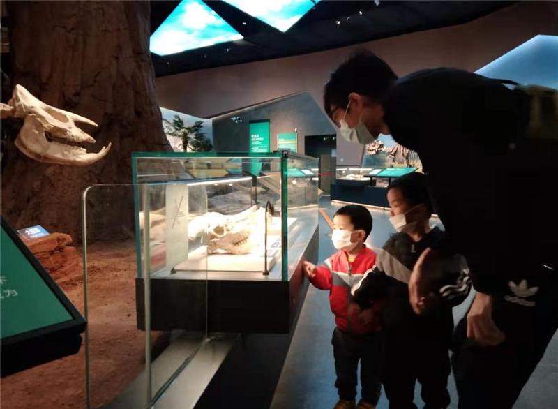 顺德自然科学馆：恐龙、三趾马、剑齿虎“另类”贺岁