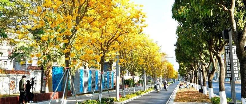 盘TA | 加大民生福祉供给！新桥高标准打造深圳西部市级中心标杆城区