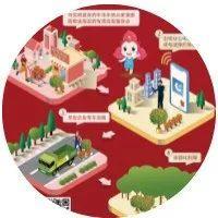 节后年花年桔怎么处理？速速Mark这份回收指南