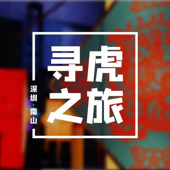 摘星后，我还留在深圳过年的原因…