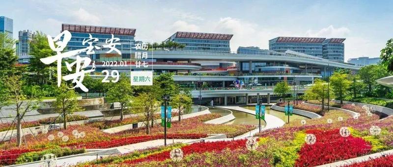 深圳发布春节假期出行指引！今晚将迎明显降温 | 早安，宝安