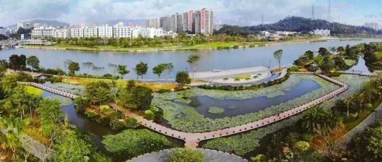 游山看海，速来get春节“宝安打卡地图”