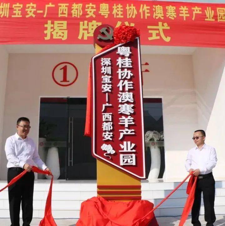 山海情谊！一封来自广西都安瑶族自治县的感谢信