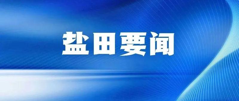 烂漫樱花林扮靓花漾盐田 区长邓飞波带队调研城区品质提升工作