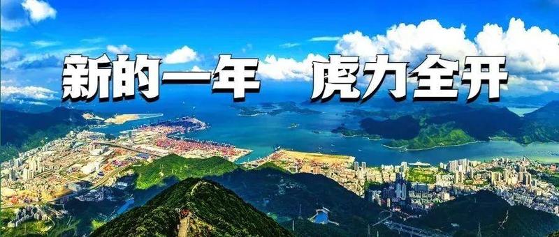 “虎”力全开 | 虎年首个工作日，盐田区企业复工复产现活力
