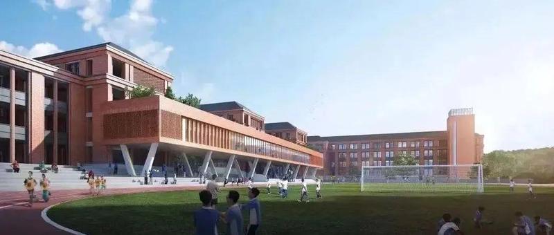 深圳中小学将独立开设这门课，3月1日起实施