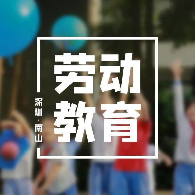 深圳中小学将独立开设这门课，3月1日起实施