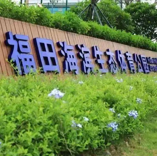 全民健身 虎虎生风丨福田体育场馆受市民青睐