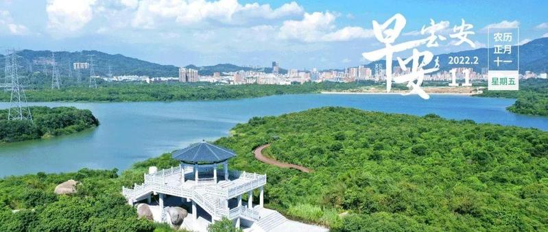 深圳在建地铁线路最新进展来了 | 有人高价“倒墩”被罚 | 早安，宝安