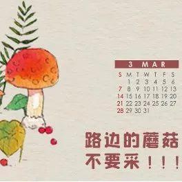 食品安全月历系列：路边的蘑菇不要采~