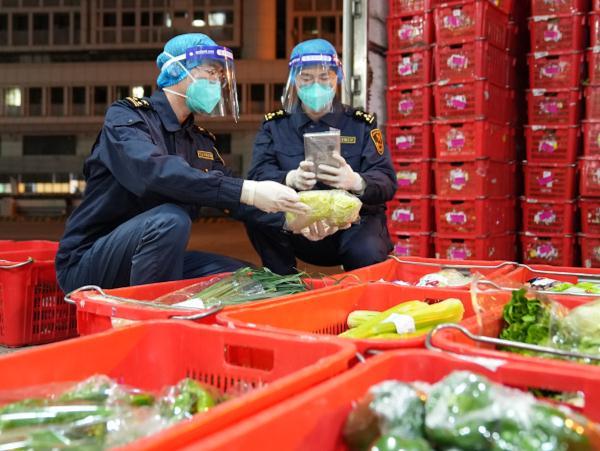 今年以来内地供港果蔬突破10万吨，占香港本地供应近九成