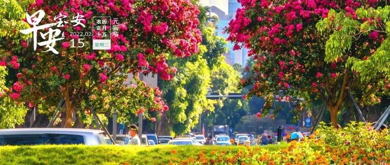 石岩一地调整为低风险地区｜深圳红树林观鸟长廊启用｜早安，宝安