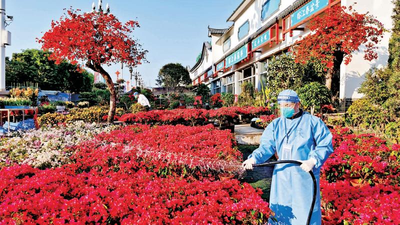 “疫”线暖色调 抚慰众人心