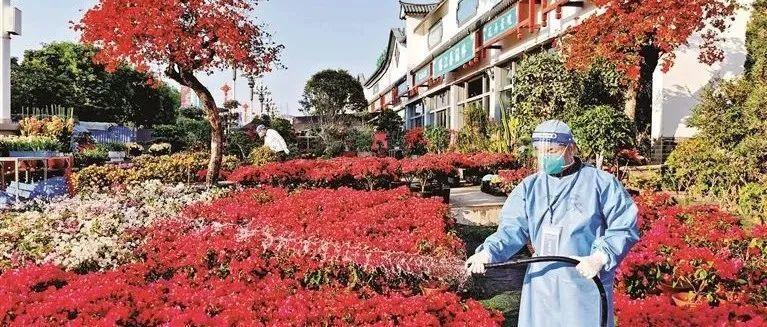 春暖石岩：疫情防控中的温情色彩