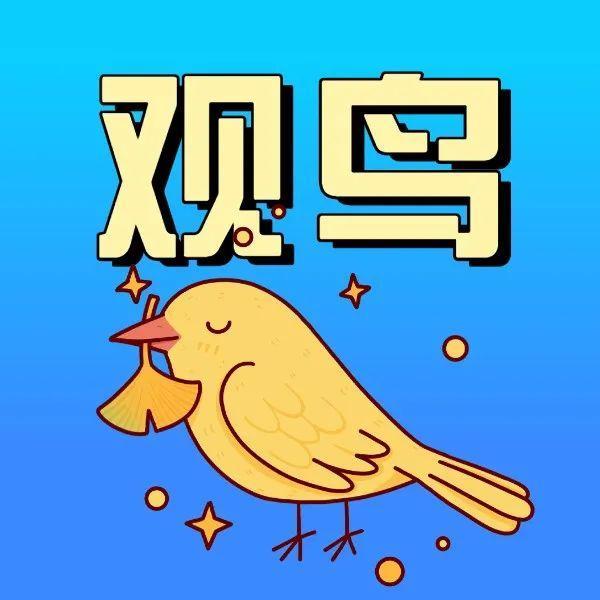 快来打卡！福田这个观鸟长廊正式开放啦~