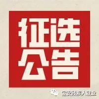 【征选公告】西式点心课程